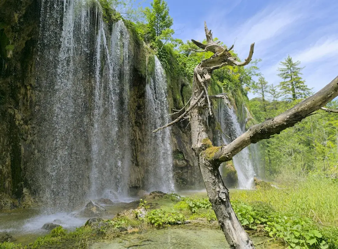 Passerelle en bois aux lacs de Plitvice